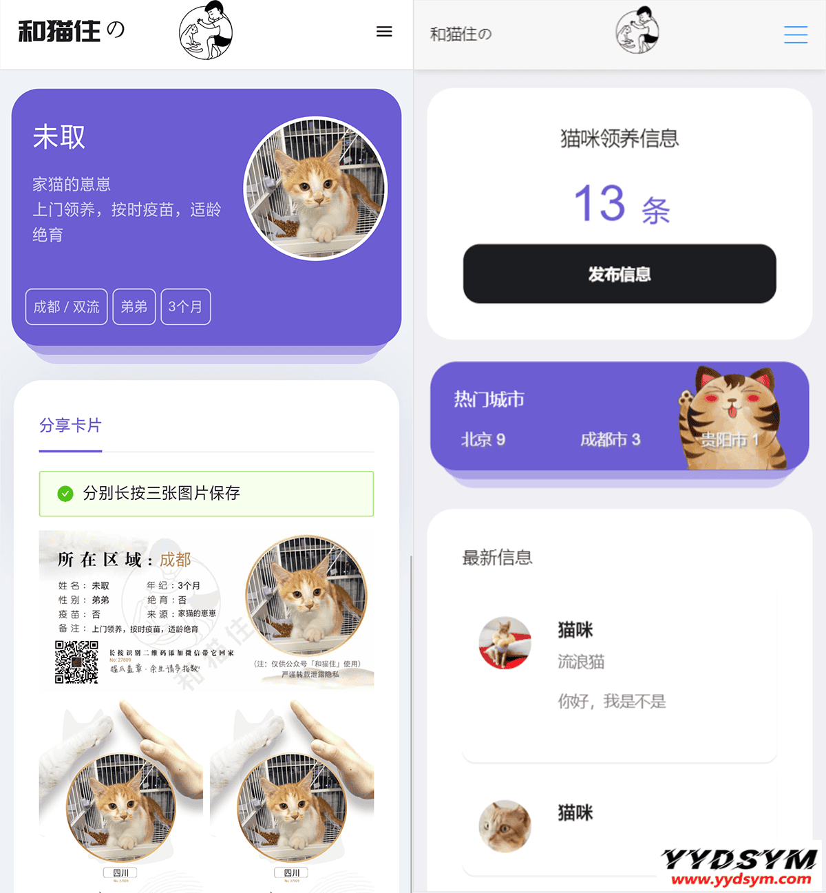 最新流浪猫流浪狗H5完整运营源码下载/可封装APP
