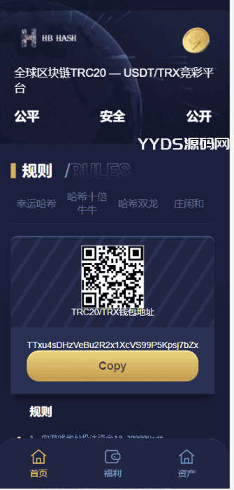 哈希竞猜源码-支持四种玩法